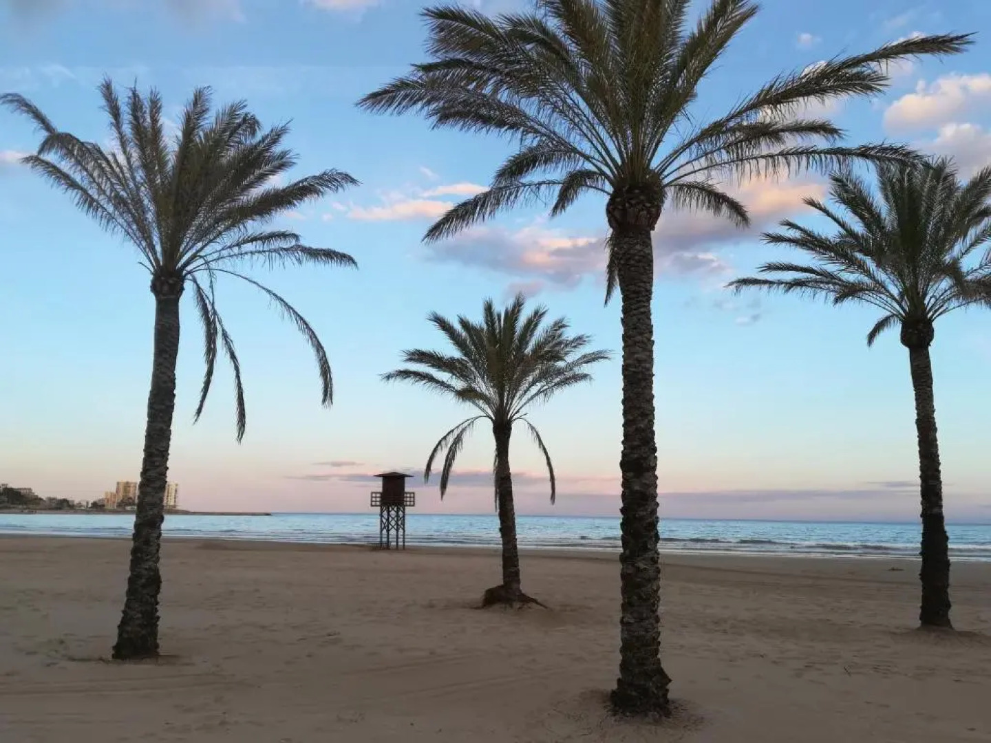 Apartamento Florazar 2, 8ºC