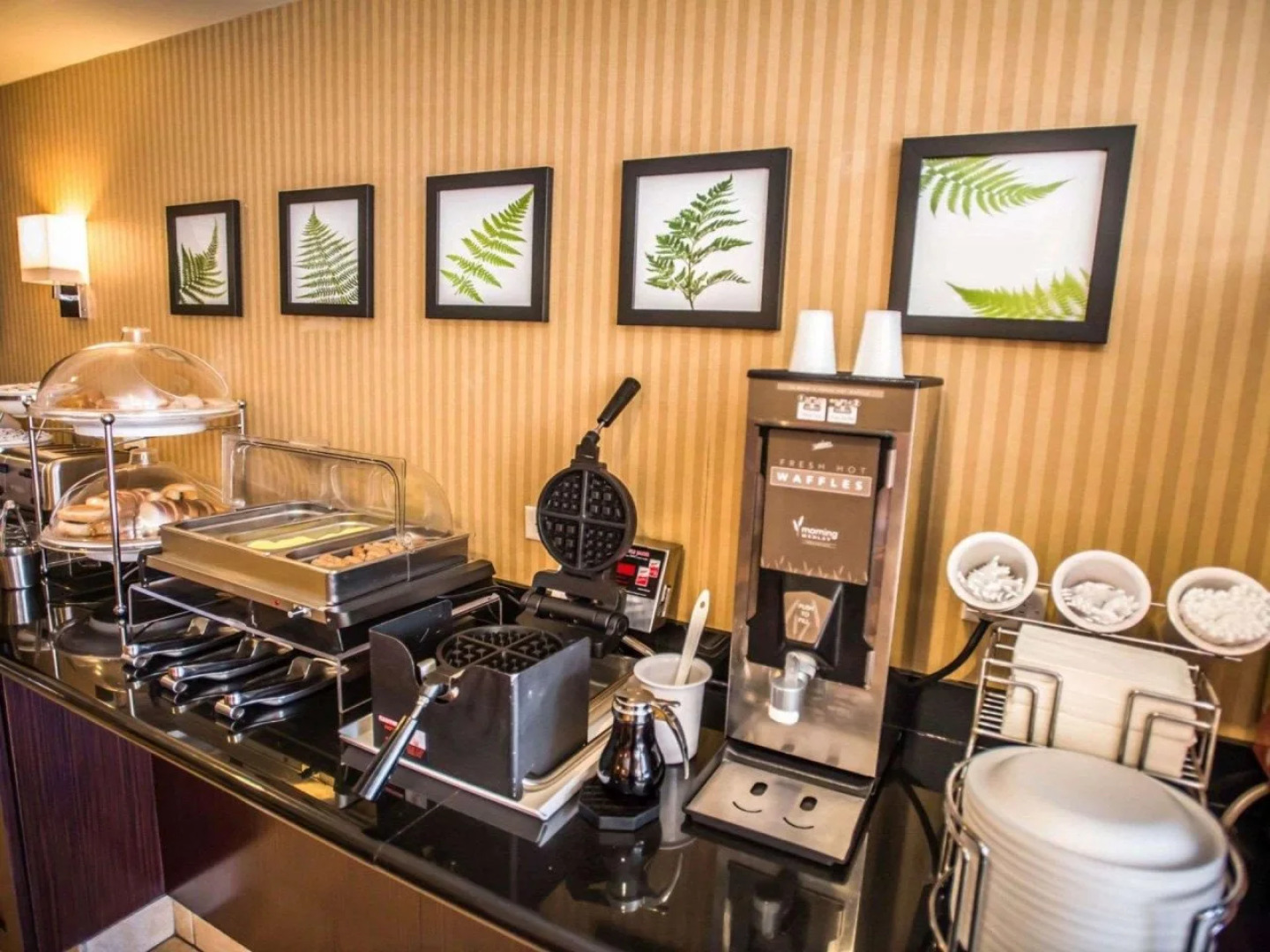 Sleep Inn & Suites Dunmore