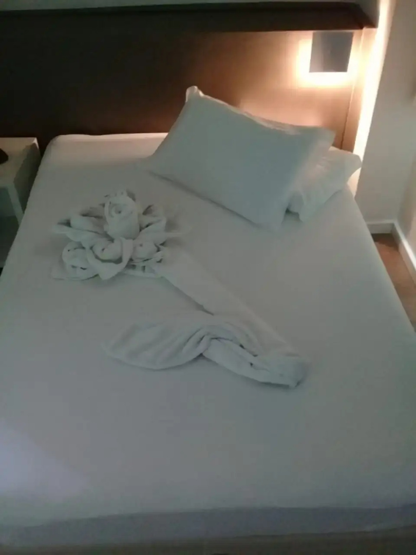 Excellence Comfort Hotel
