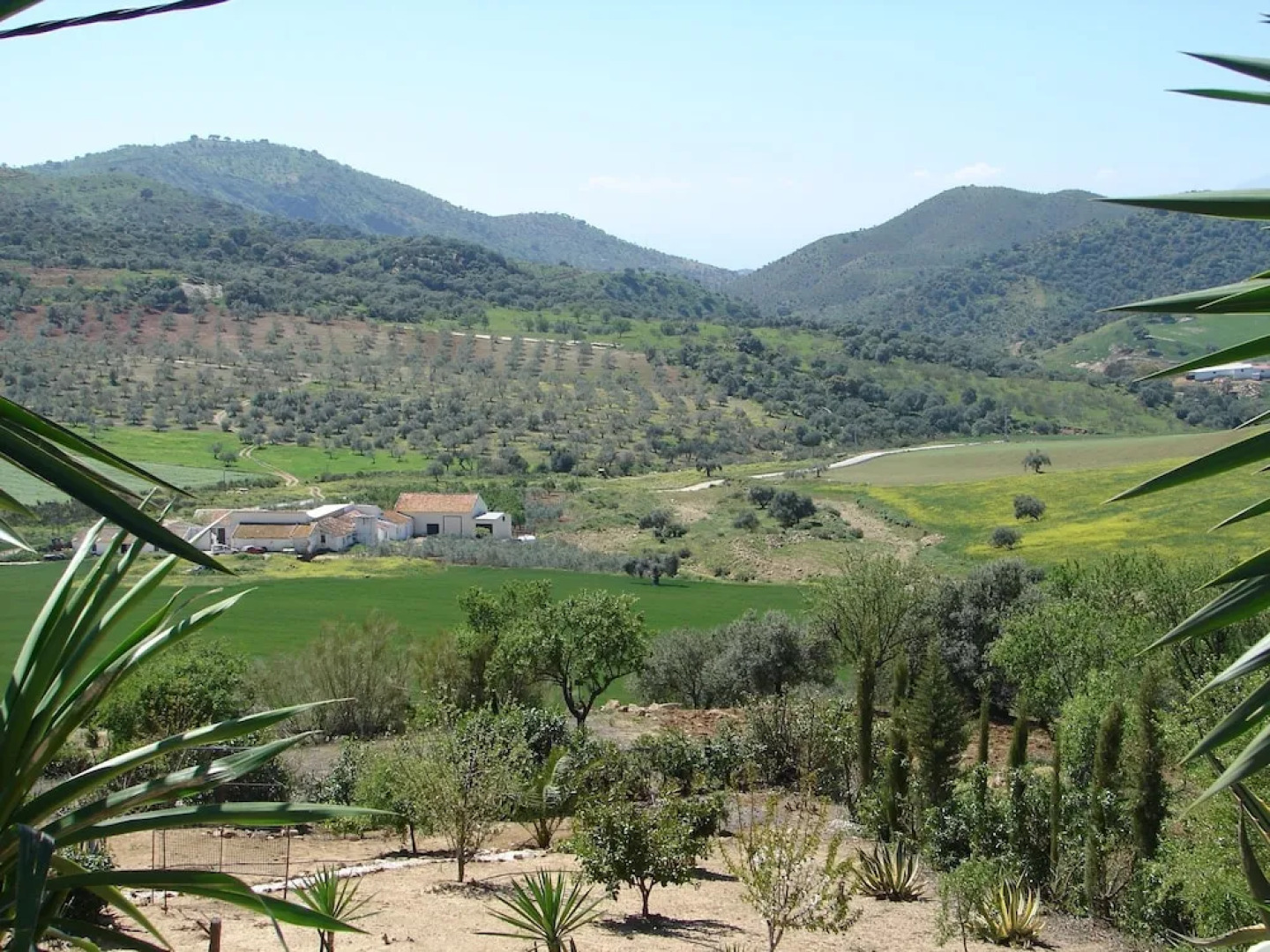 Splendid Villa in Almogía With Private Swimming Pool