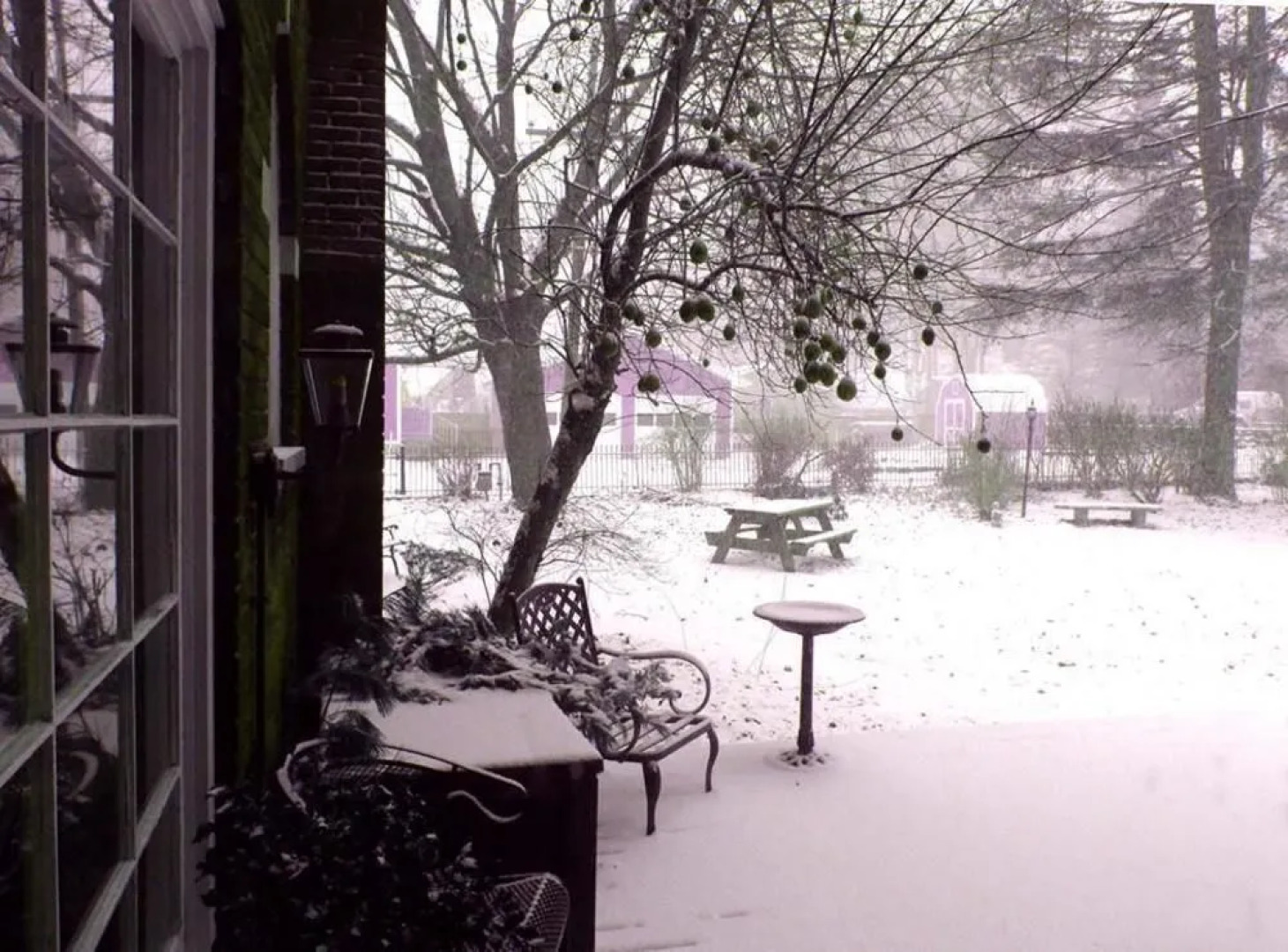 Mountain Laurel Bed & Breakfast