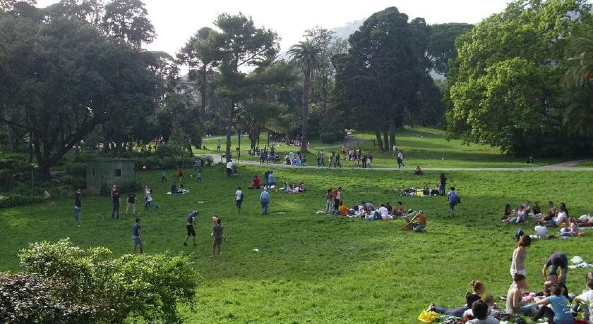 Savoia  Savoia Apartments