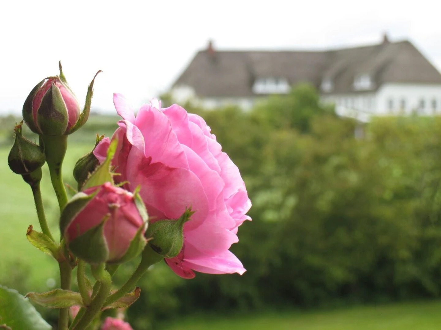 Ferienwohnung-Meeresleuchten