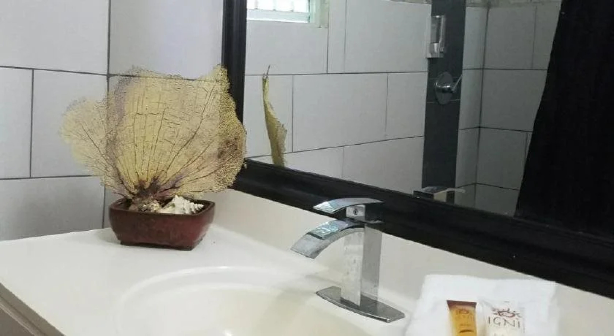 Vieques Hostel Good Vibe House