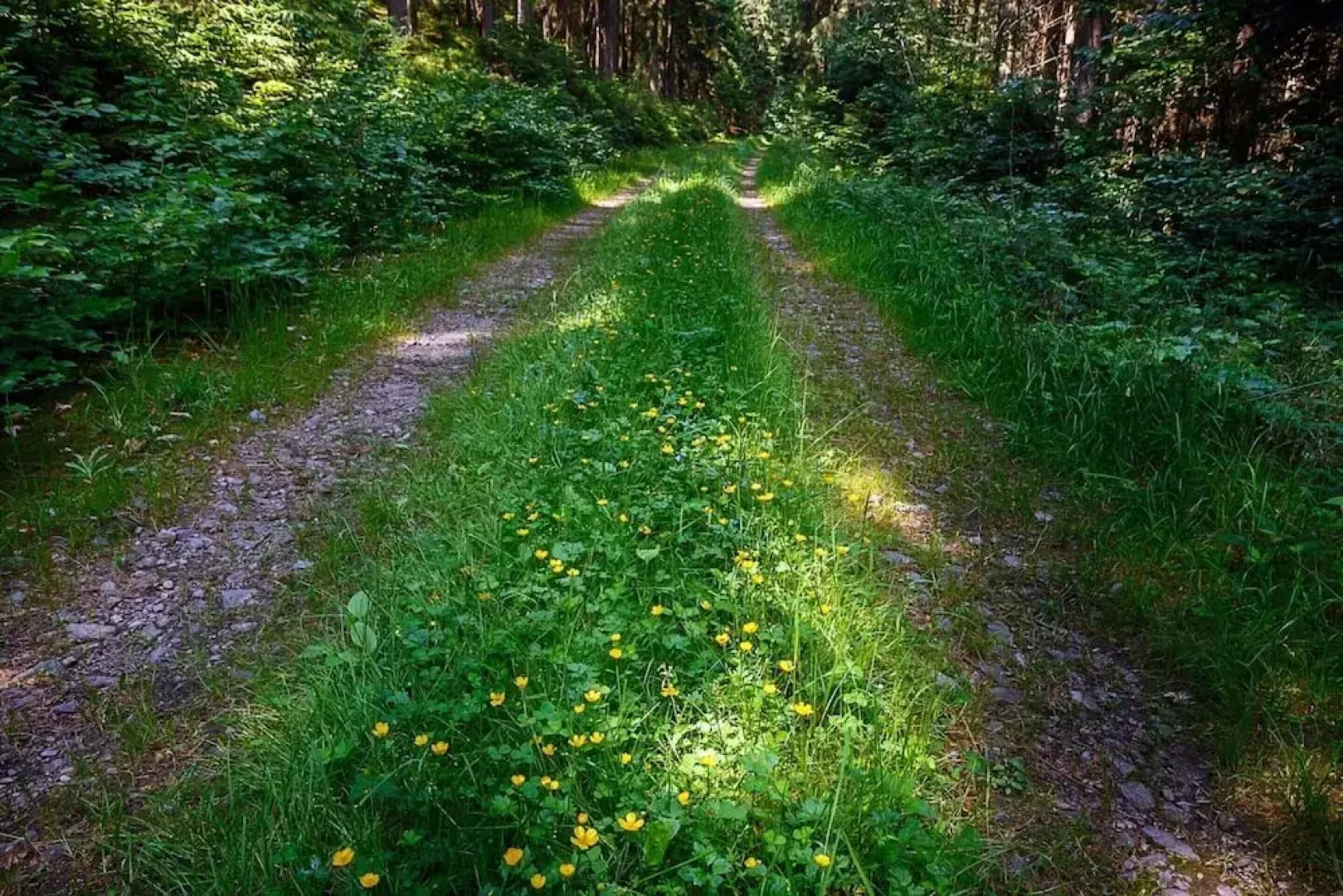 Villa Near Prkenny Dul With Sauna