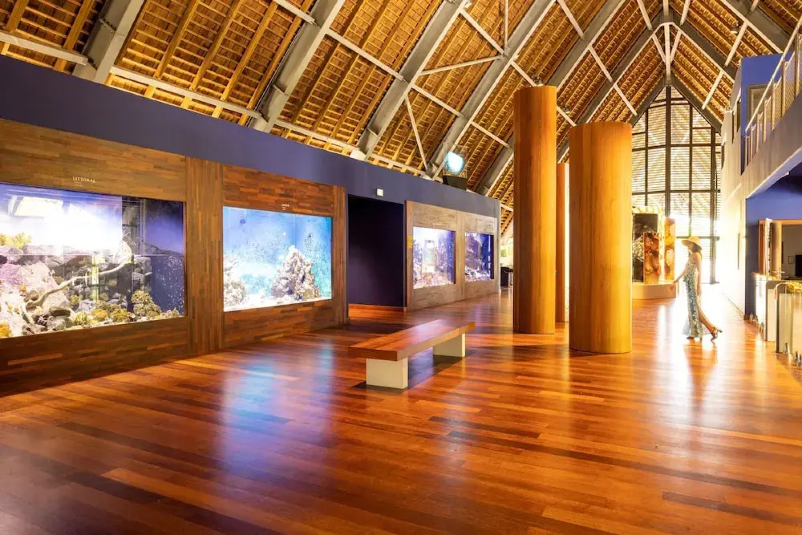 Moorea - Paopao Pool Mountain