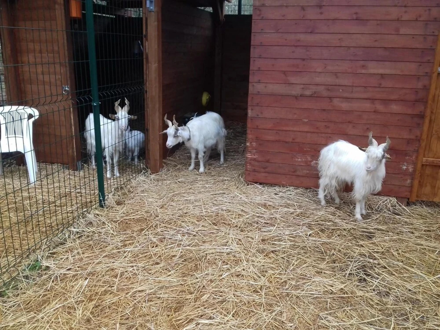 Agriturismo Specchiarussa