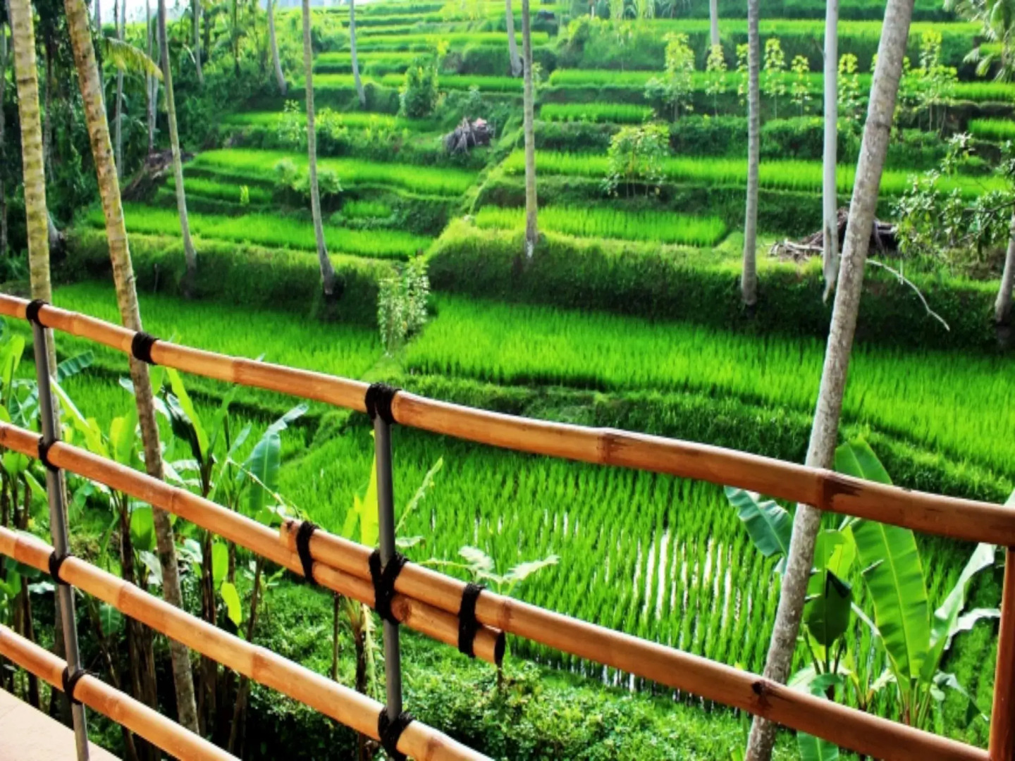 Junjungan Suite Villa