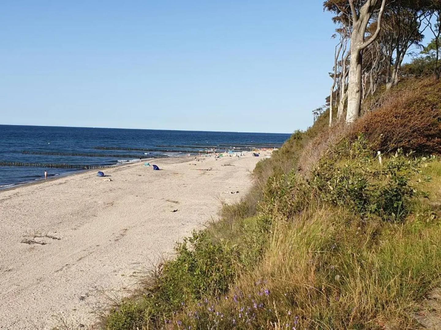 Haus Passat - Ferienwohnungen