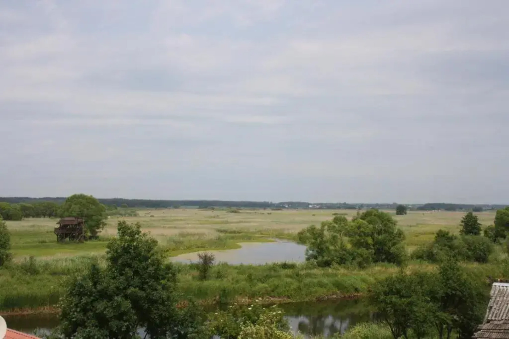 Dom pod czarnym bocianem