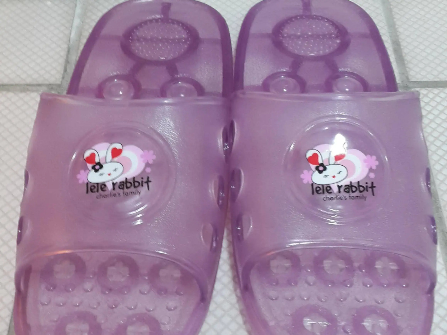 Chalucet Castle Hostel