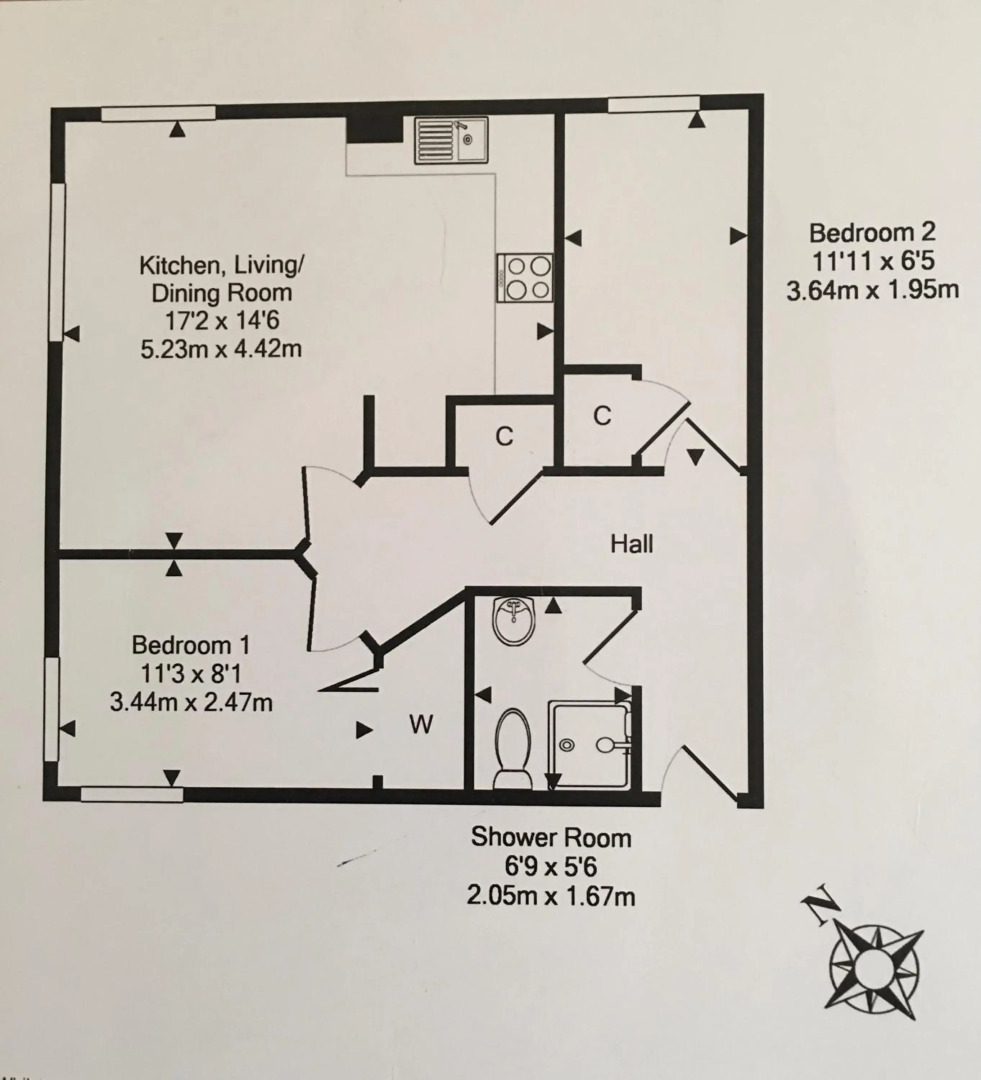 The Little Beech Tree