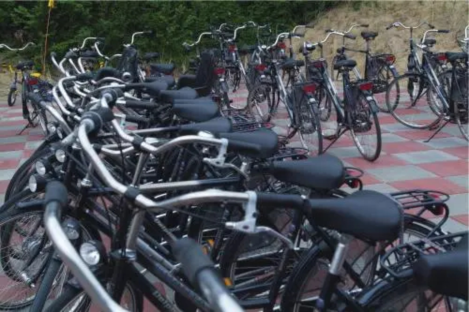 Kustpark Egmond aan Zee