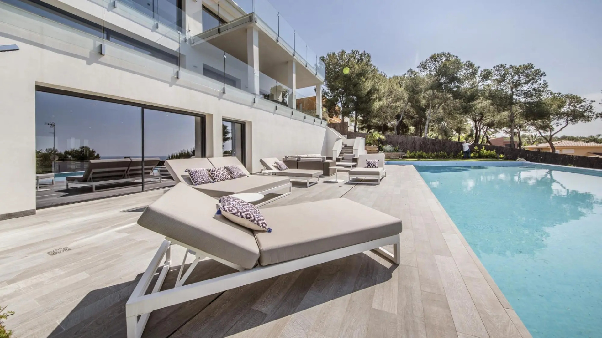 TH85-Limonium-9 in Tarragona