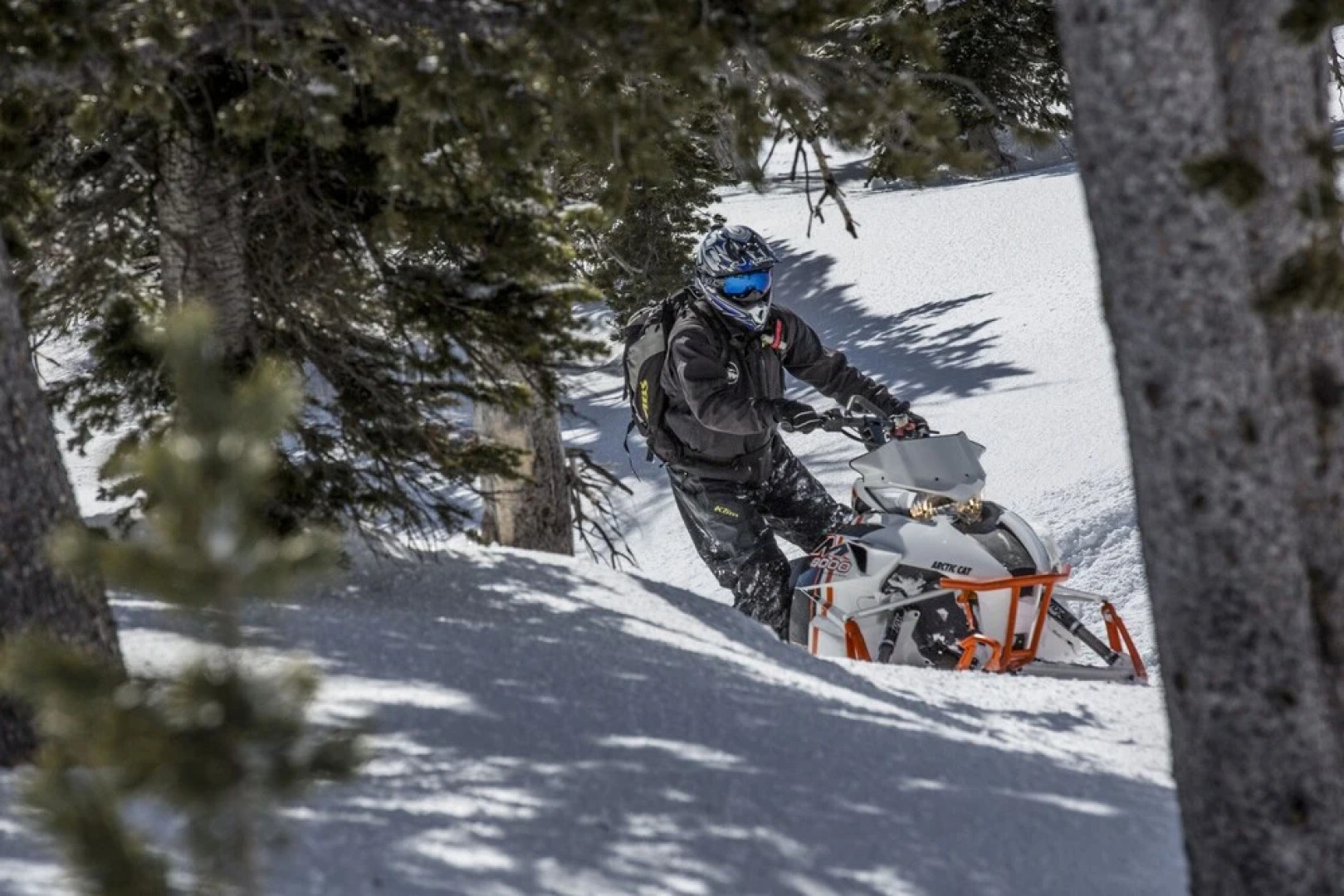 Hickory-dickory Hollow