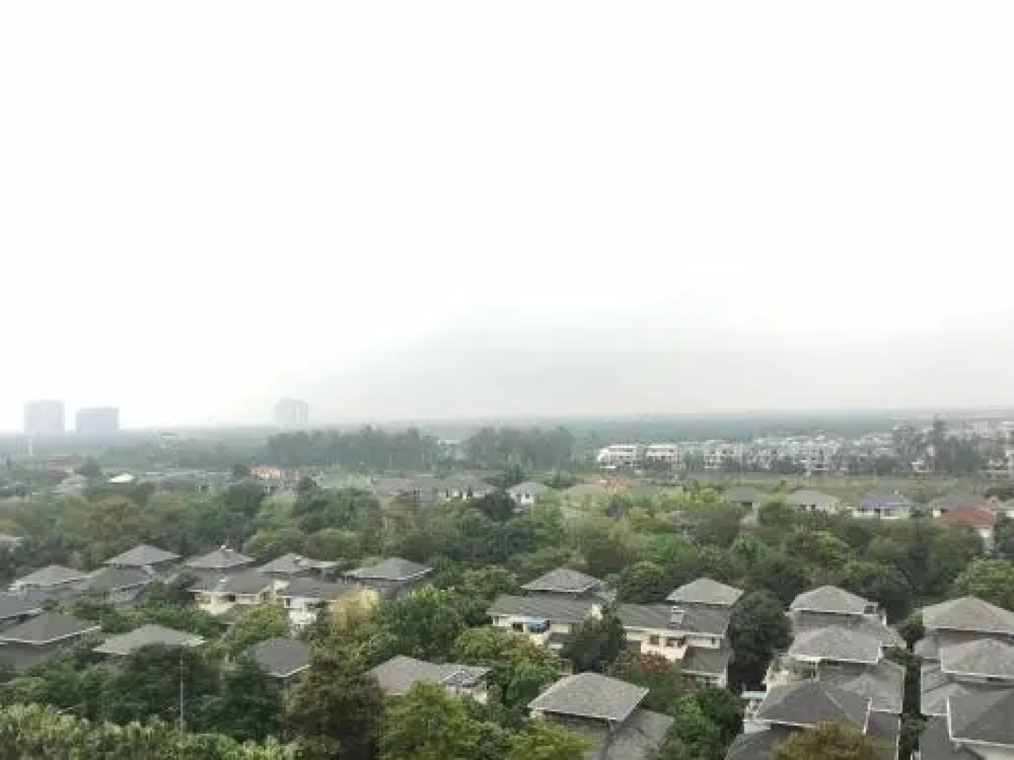 KHU RừNG Cọ - ECOPACK