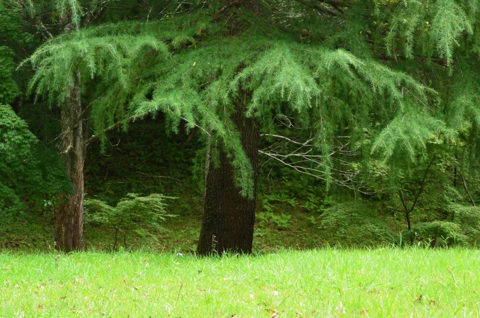 TKP Hotel & Resort Lectore Karuizawa