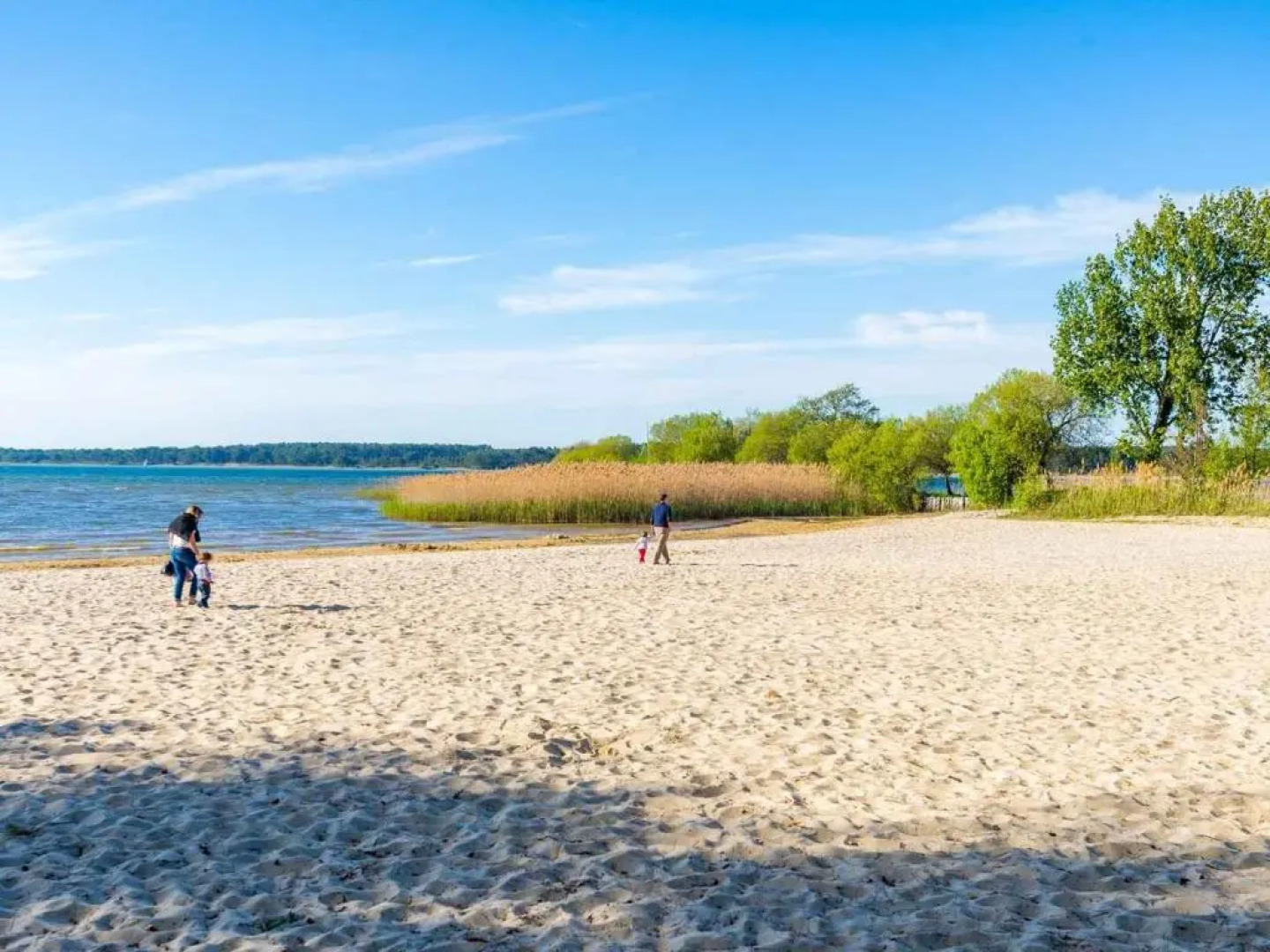 Maison Sanguinet, 3 pièces, 4 personnes - FR-1-319-408