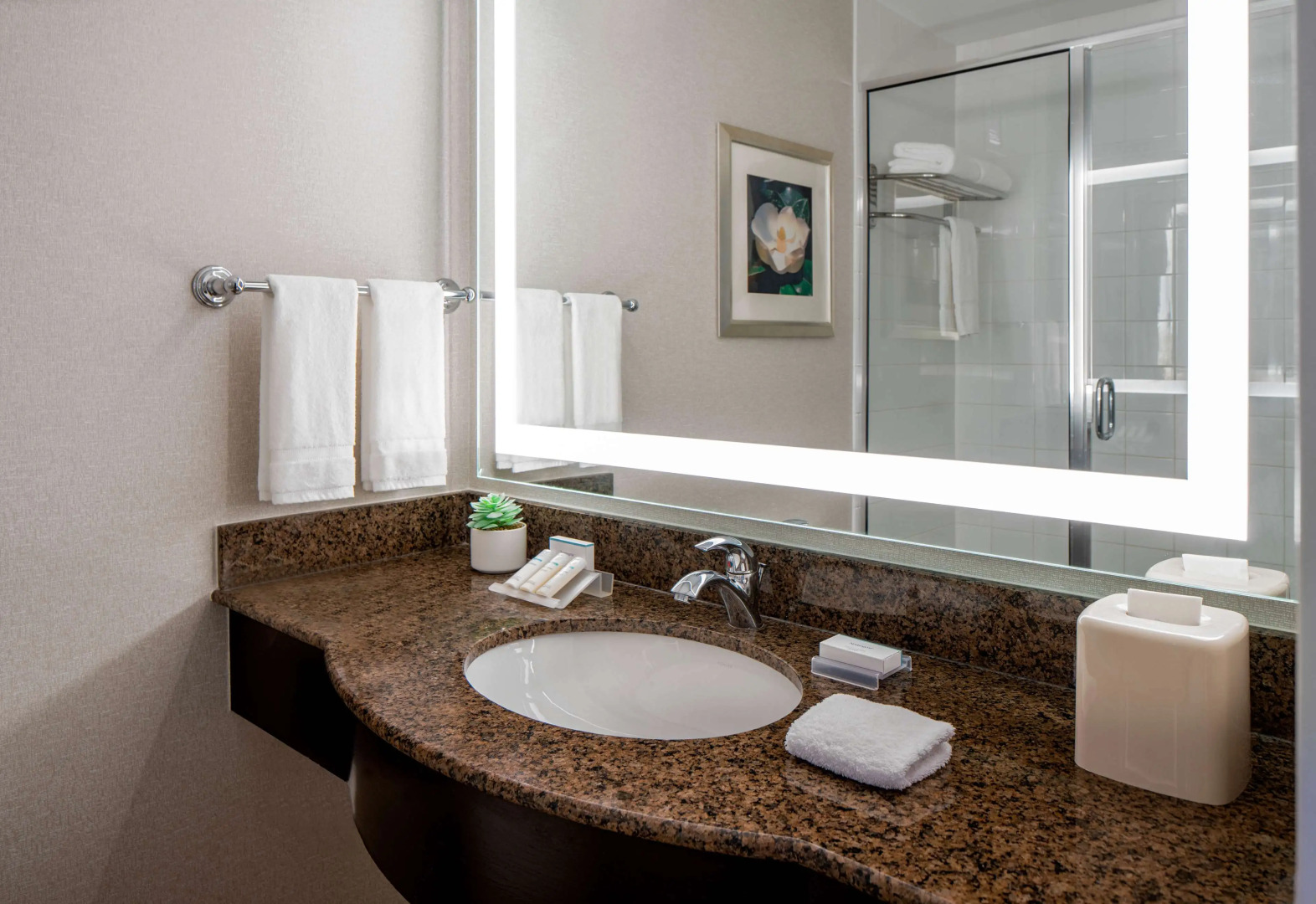 Hilton Garden Inn Jackson Downtown