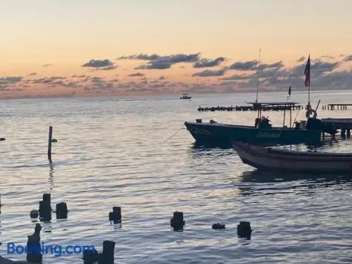 Wild Flowers Boquerón Rooms