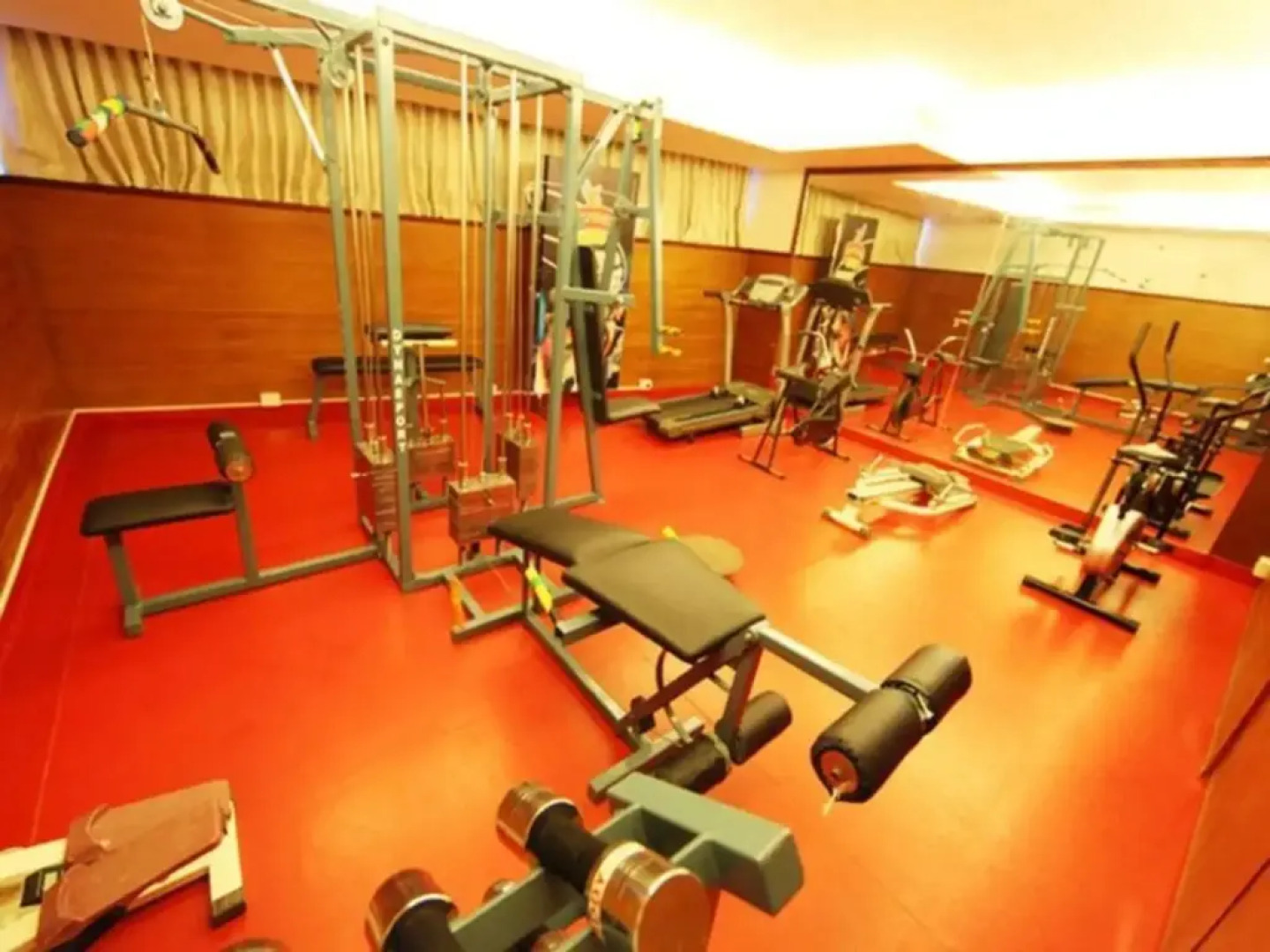 White Dammar International