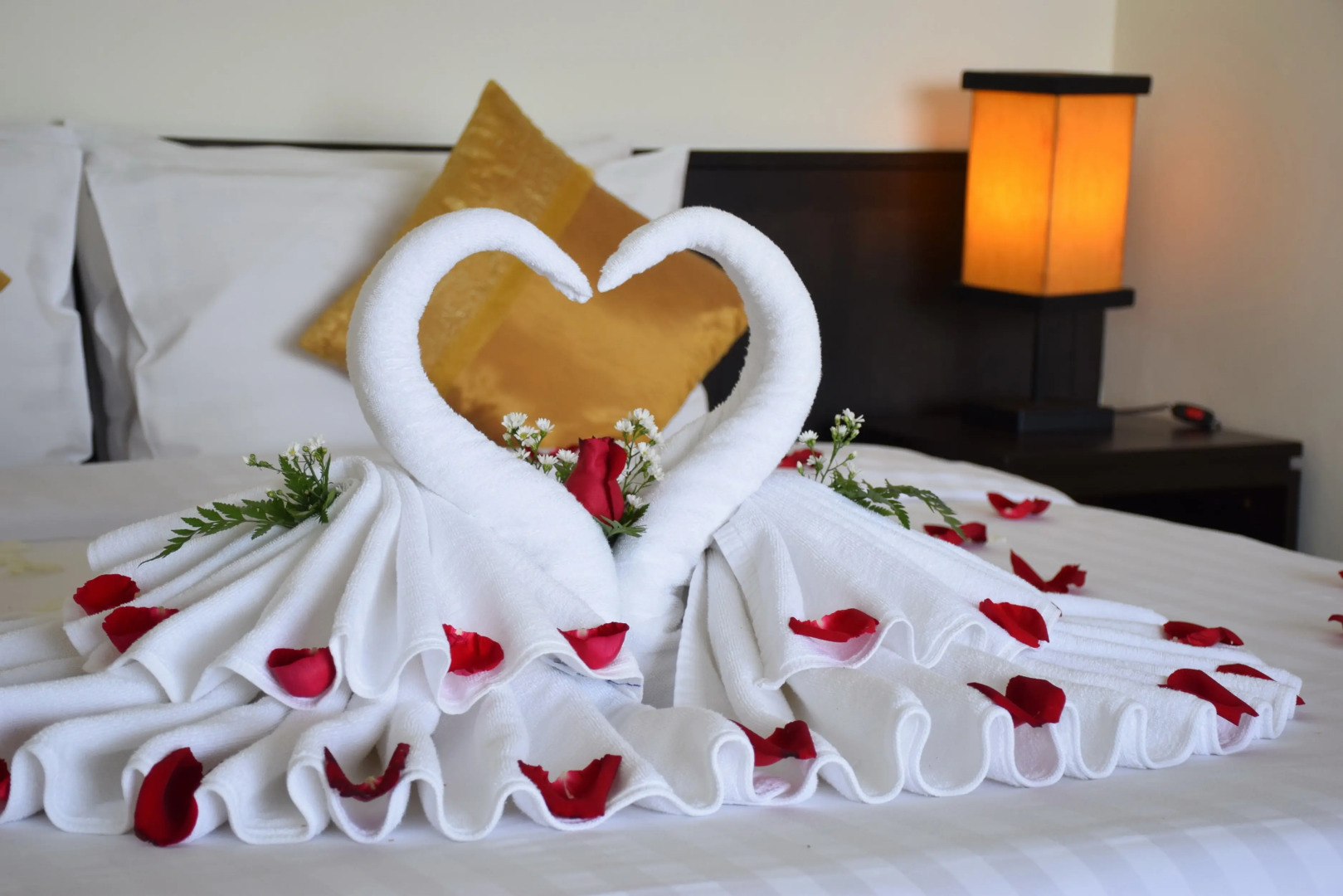 The Color Living Hotel