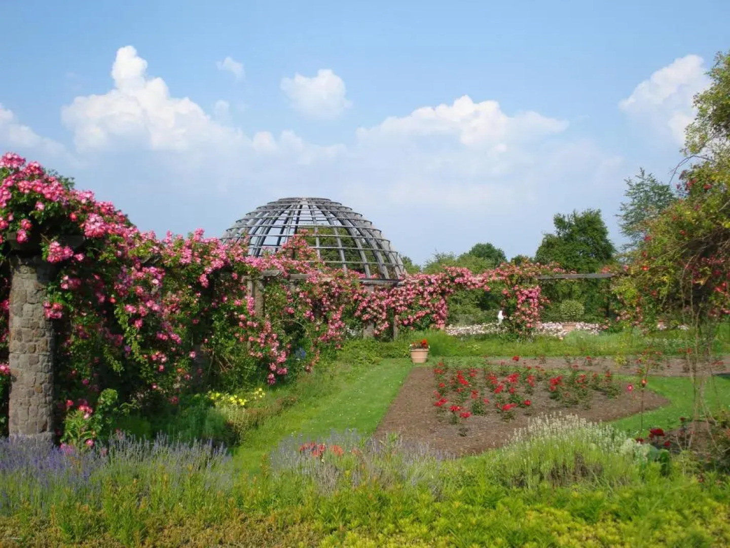 Holiday Inn Express Darmstadt by IHG