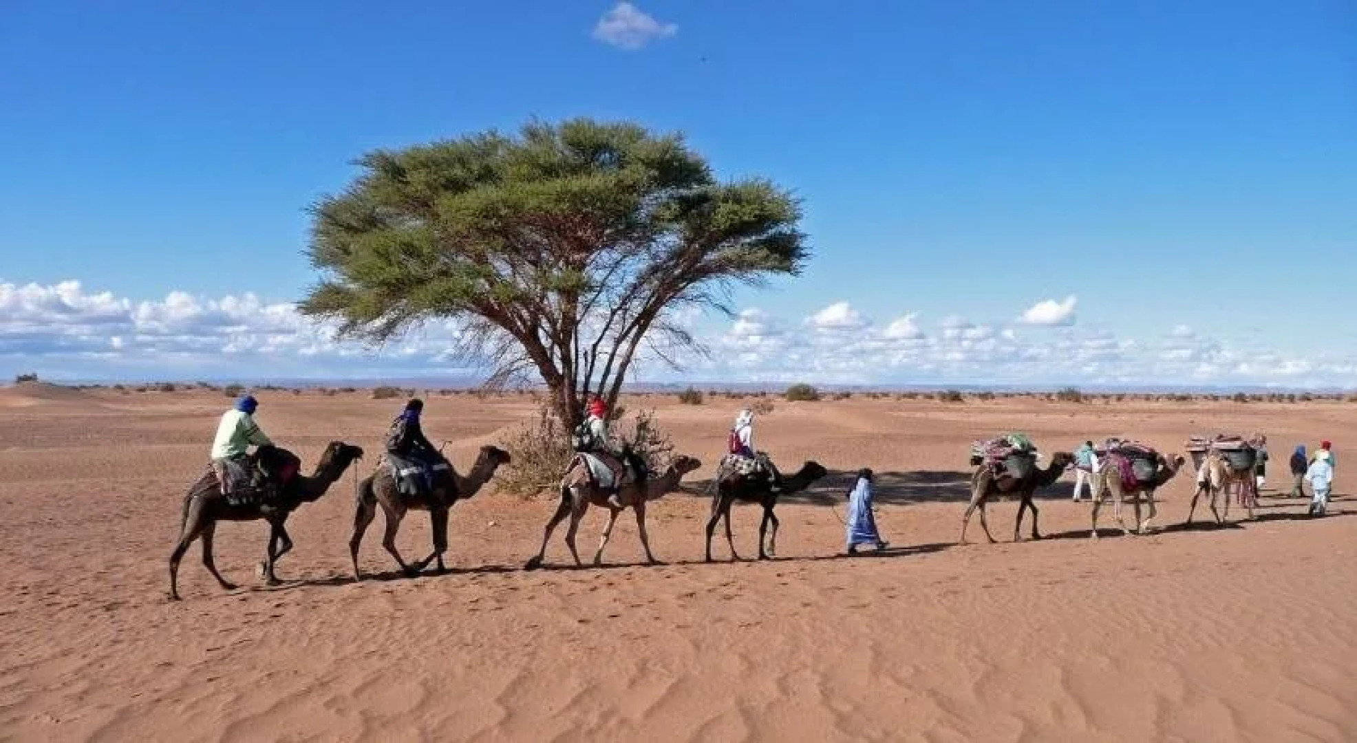 Bivouac Cherg Expeditions