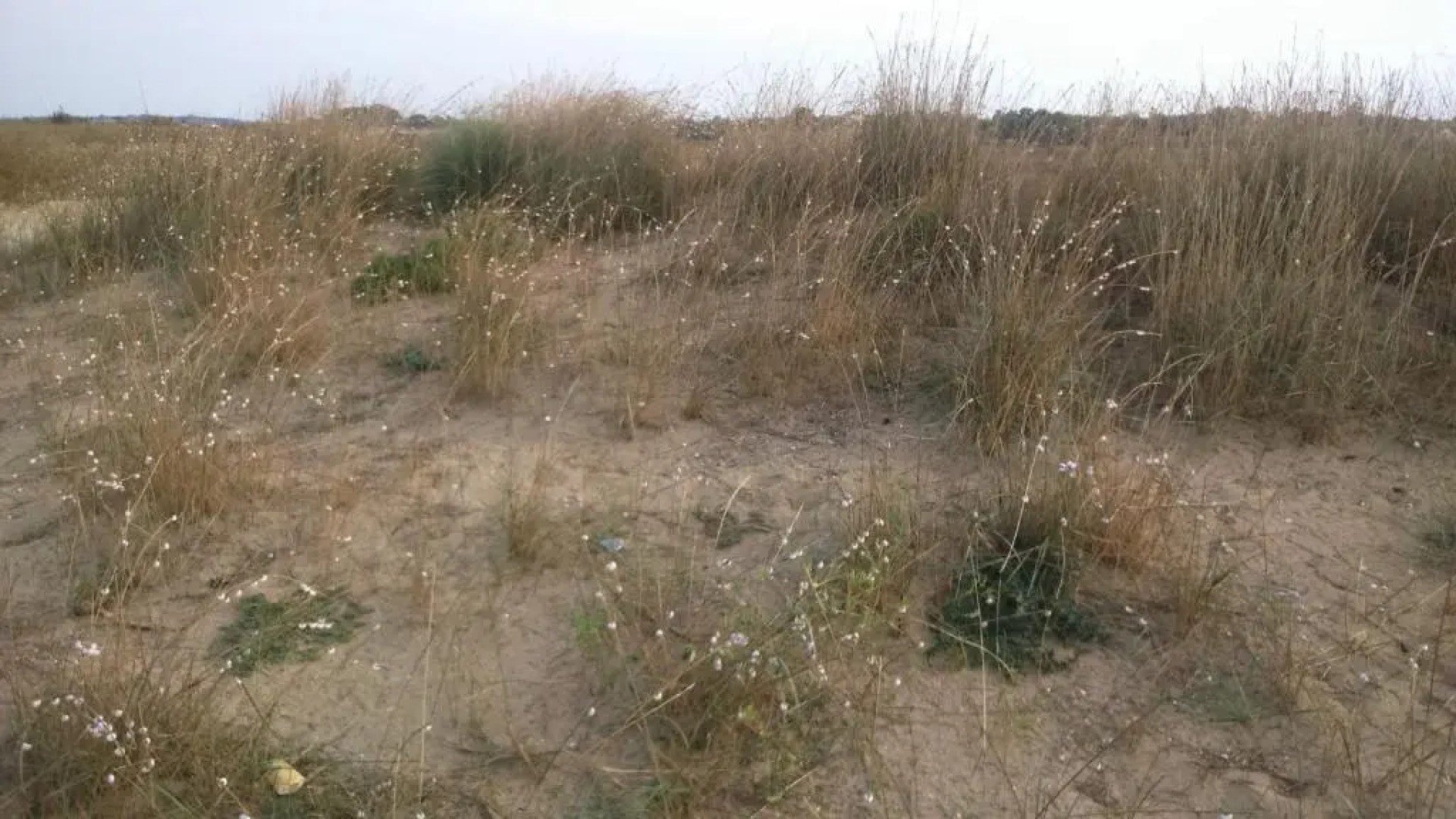 Apartments Ninske Vodice