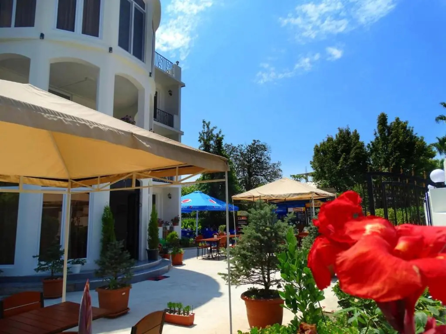 Hotel White House Anaklia