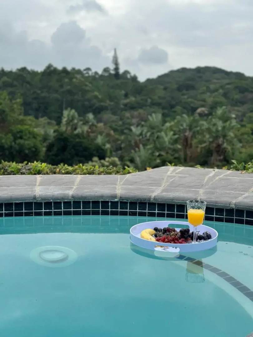 Palmgrove Lodge