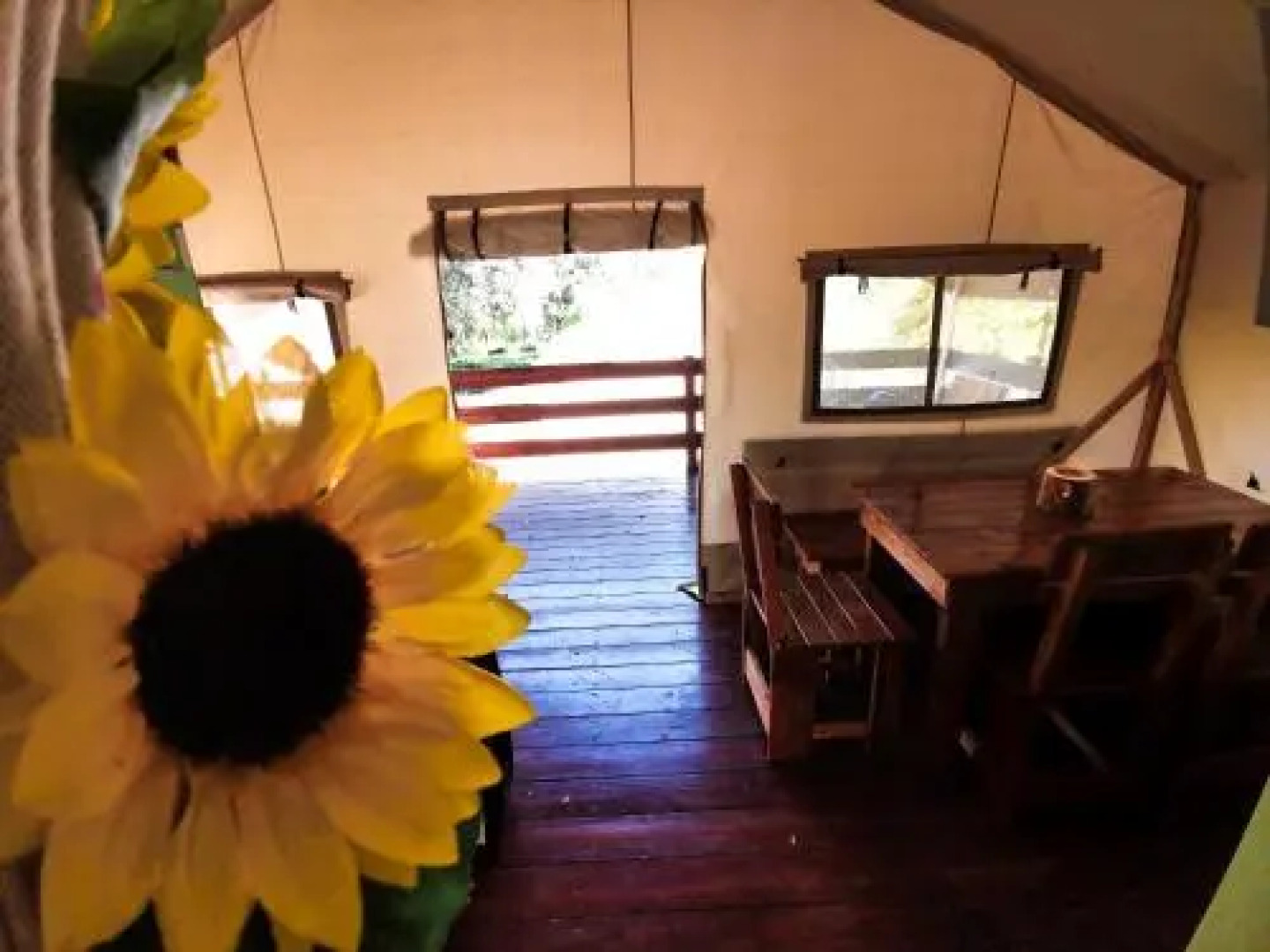 Sunflower Camping