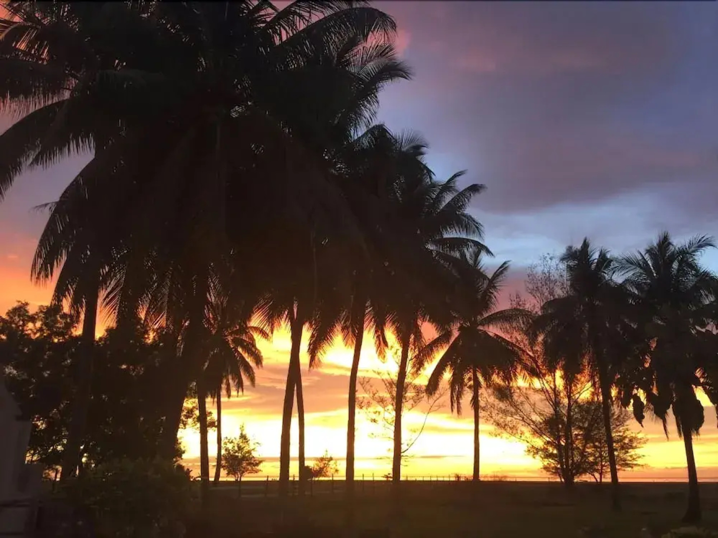 Raintree Beach & Golf Resort