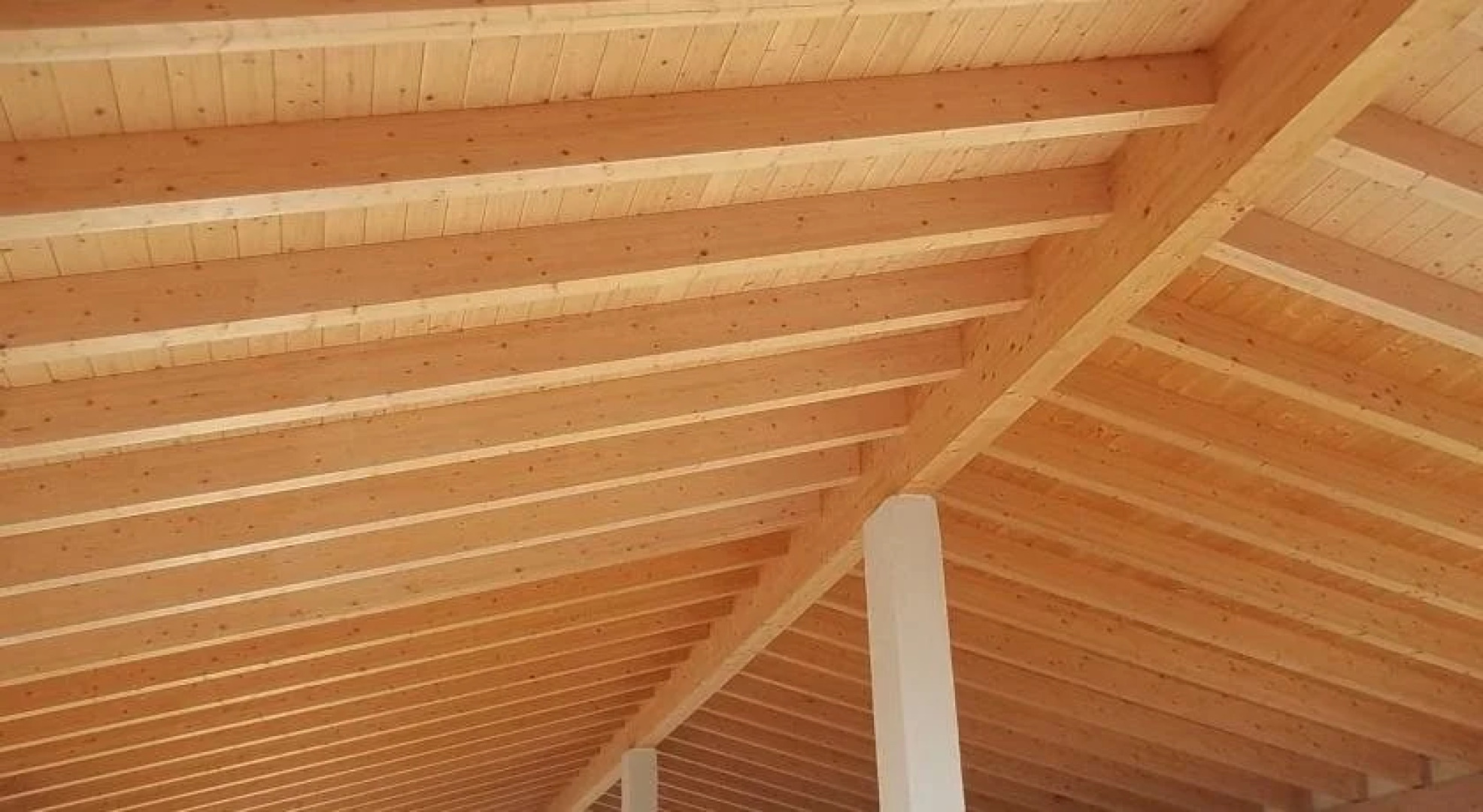 Agriturismo al Bagolaro