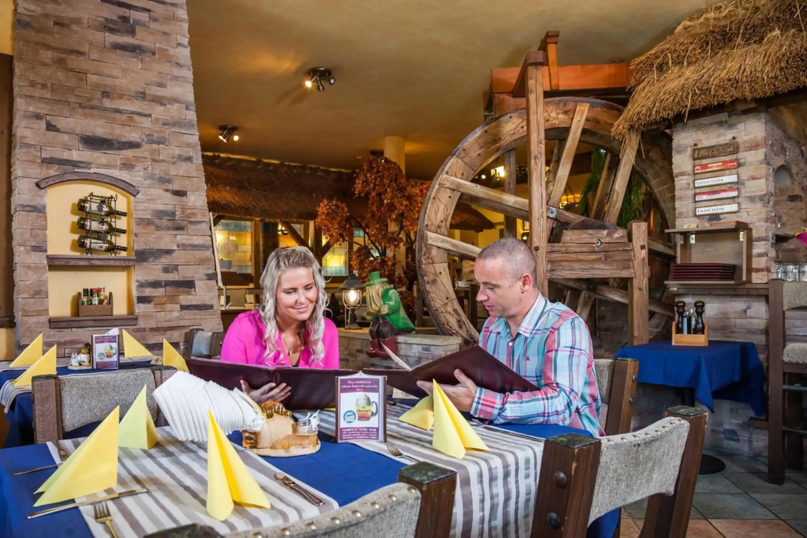 Hotel Jelínkova vila