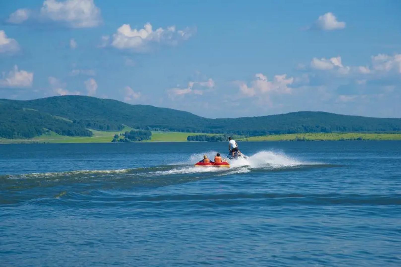 Лесная Сказка