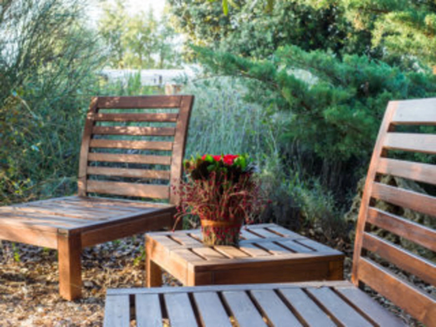 poggio alla rocca - alba