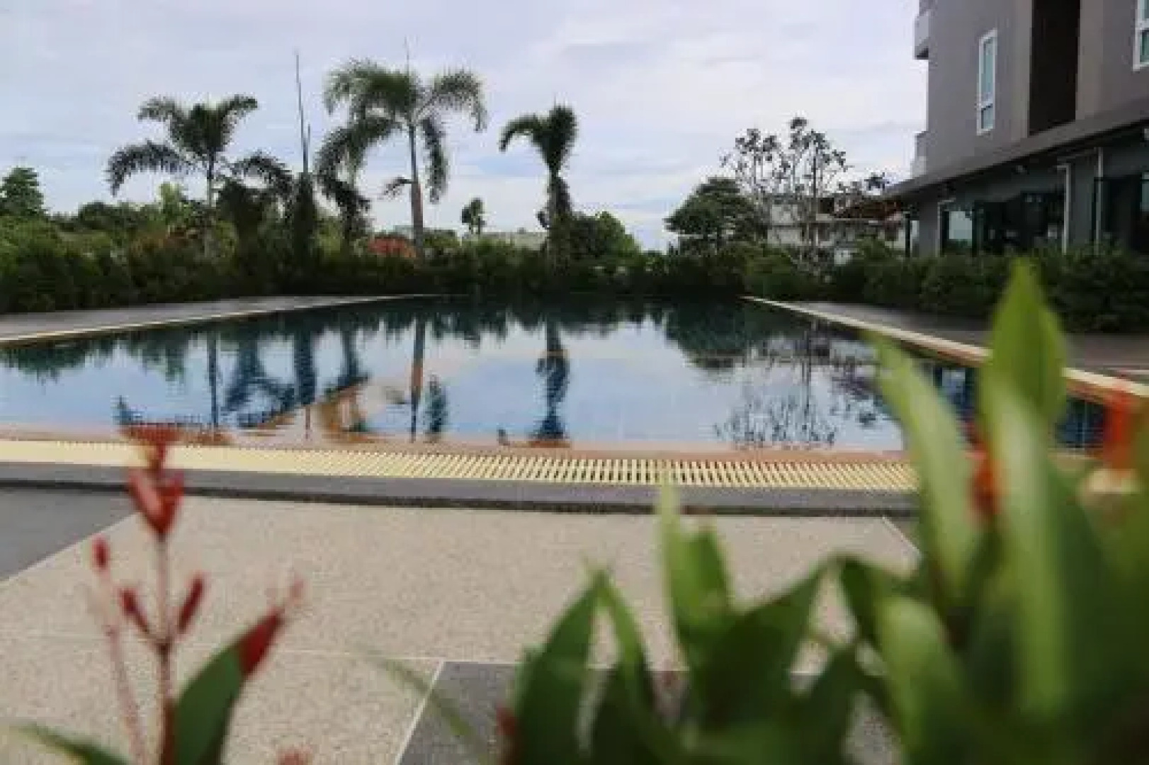 Passionsiri by Danny