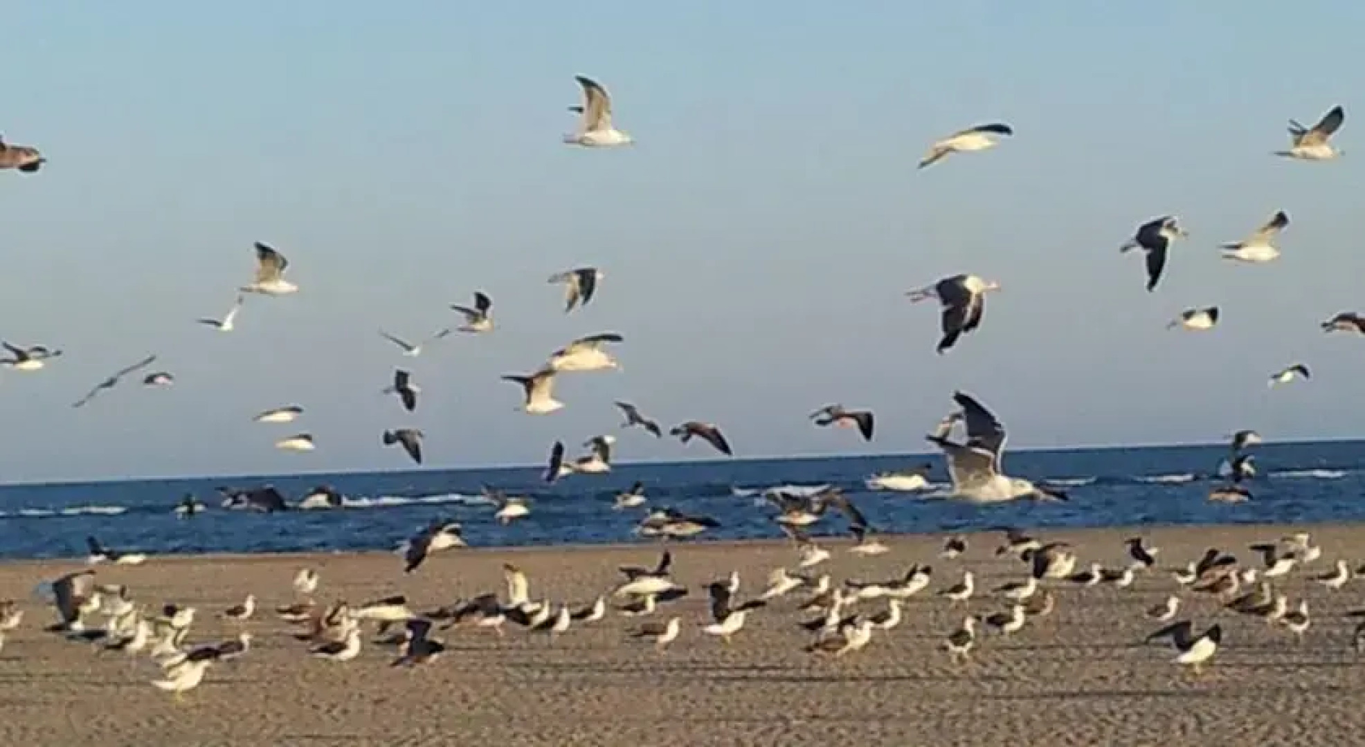 Apartamento en Isla Canela