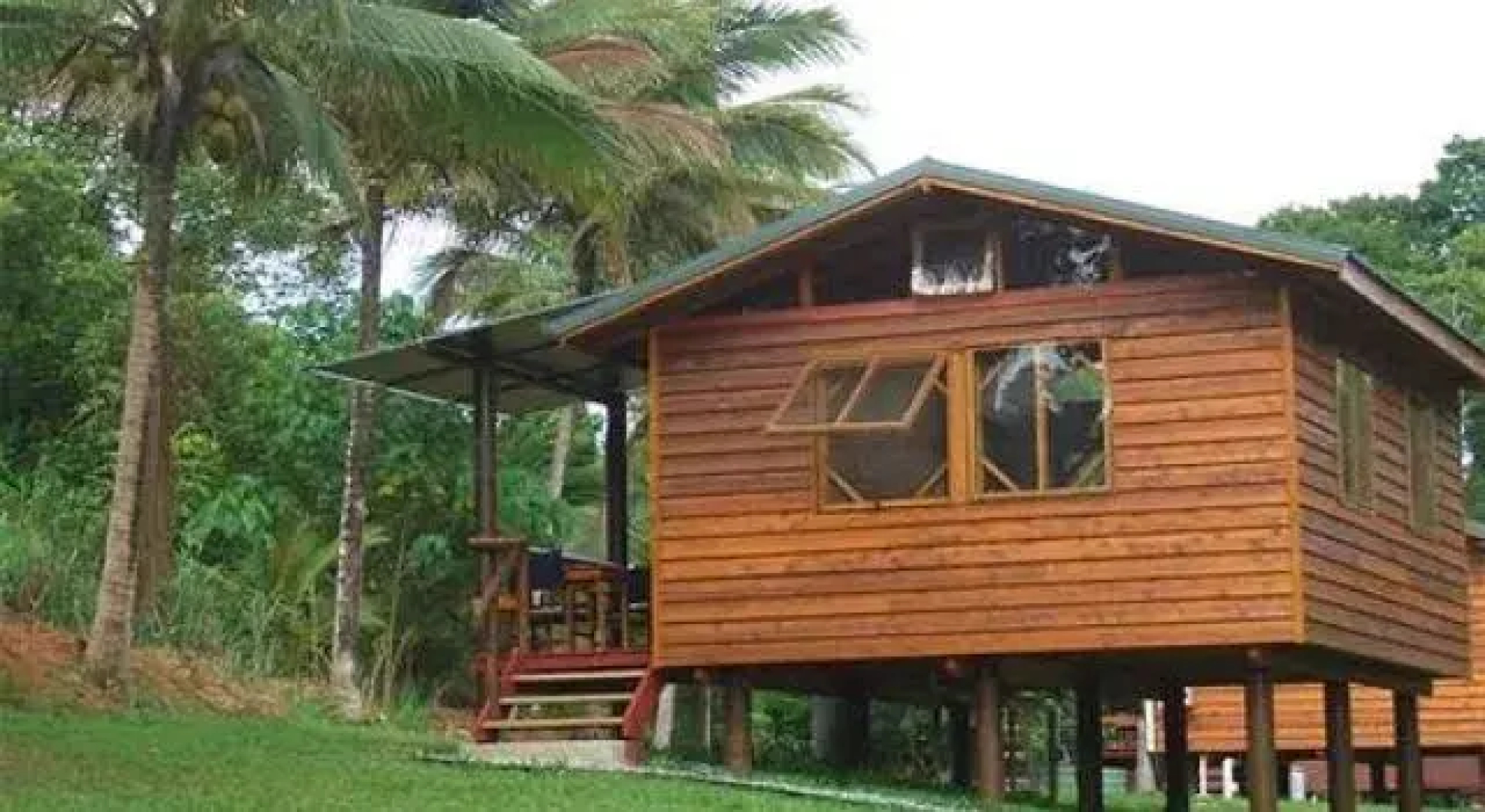Daintree Rainforest Bungalows