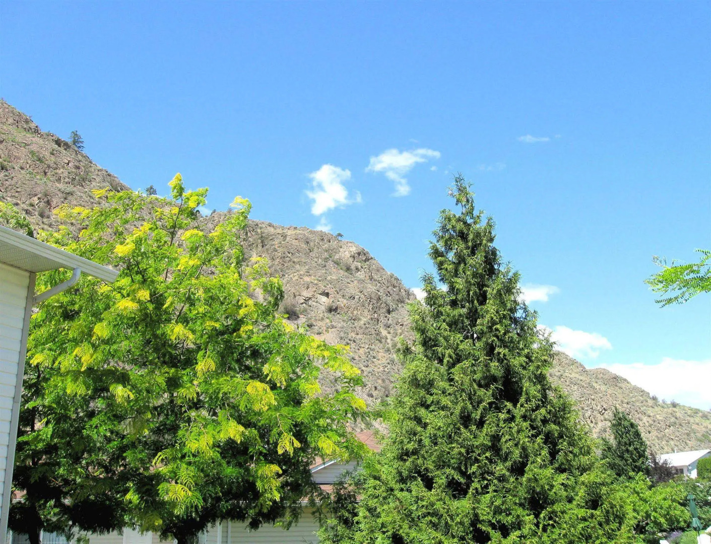 1 Of A Kind Sculpture B&B