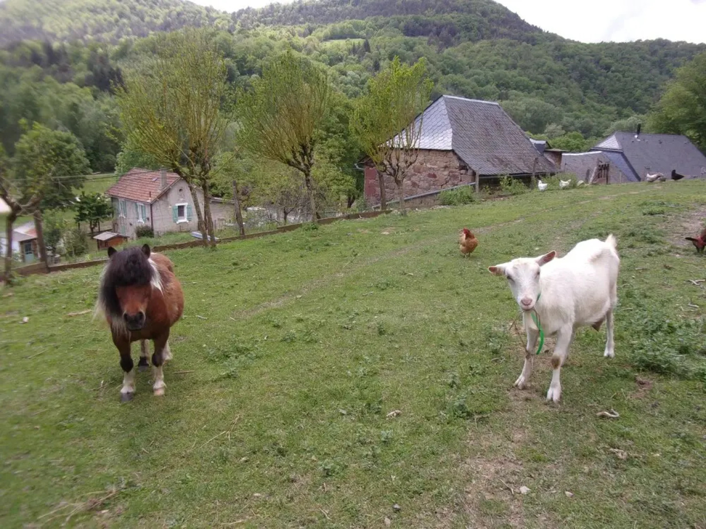 Le Cascadou Maison d'hôtes