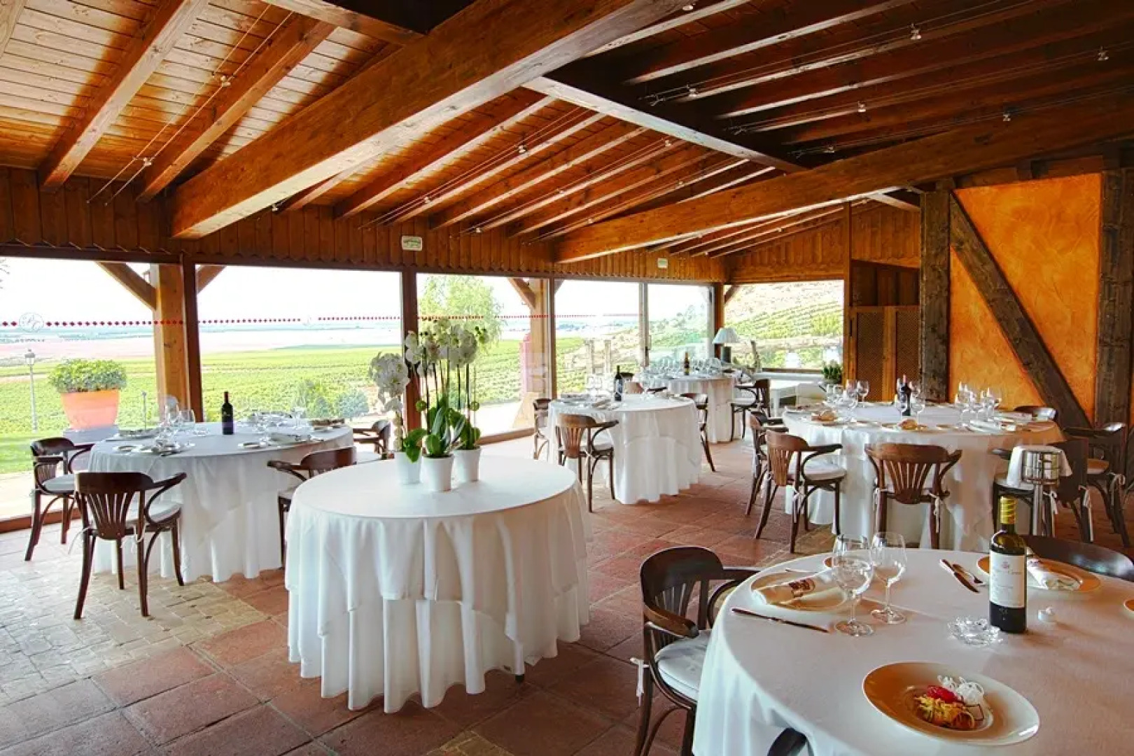 Domus Selecta Pago De Cirsus