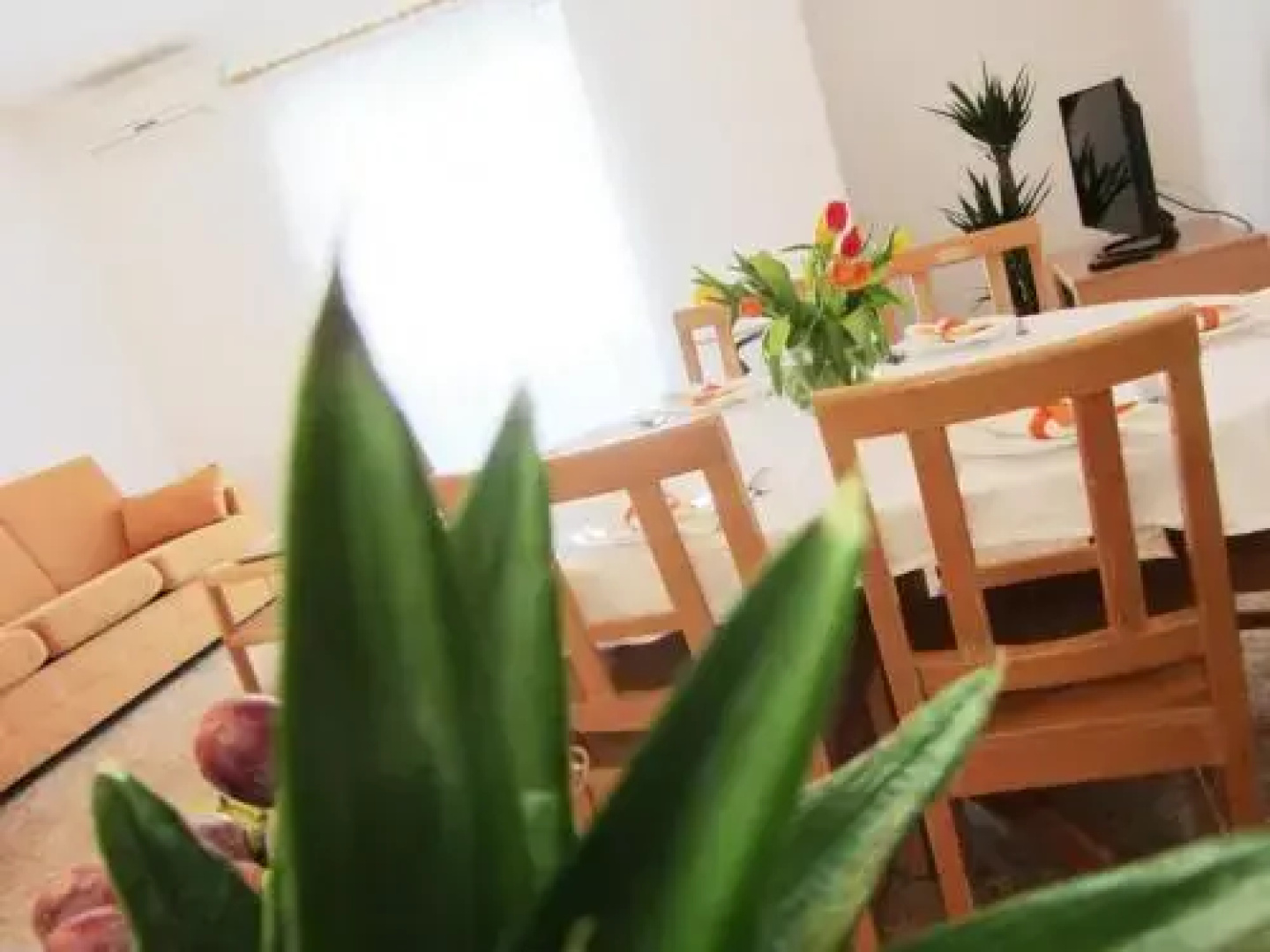 Apartments Luna Tisno