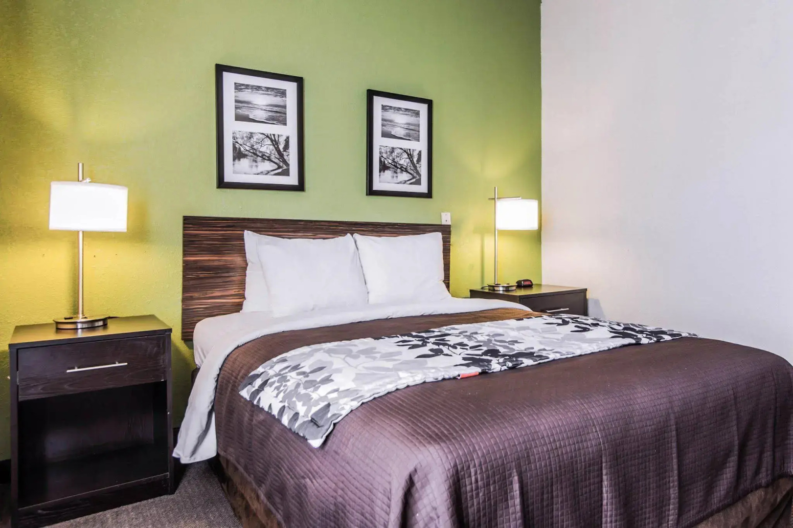 Sleep Inn Walterboro I-95