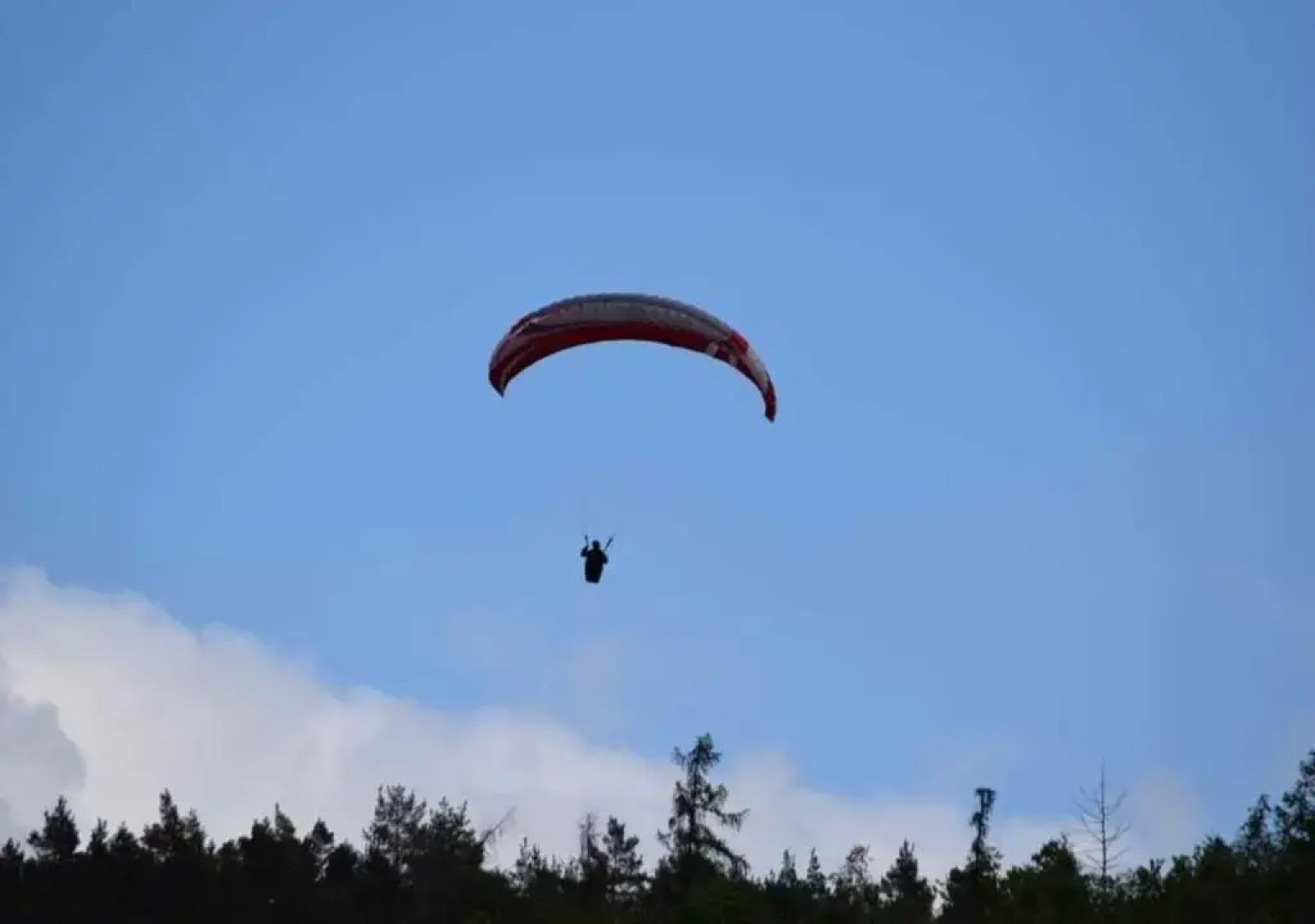 Green Seeblick Hotel & Apartments