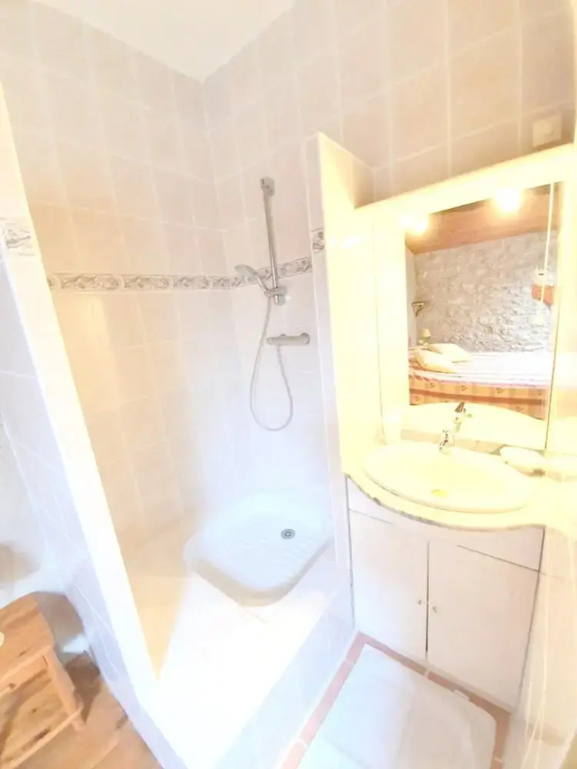 House With 6 Bedrooms in Thenac , With Private Pool, Furnished Garden and Wifi