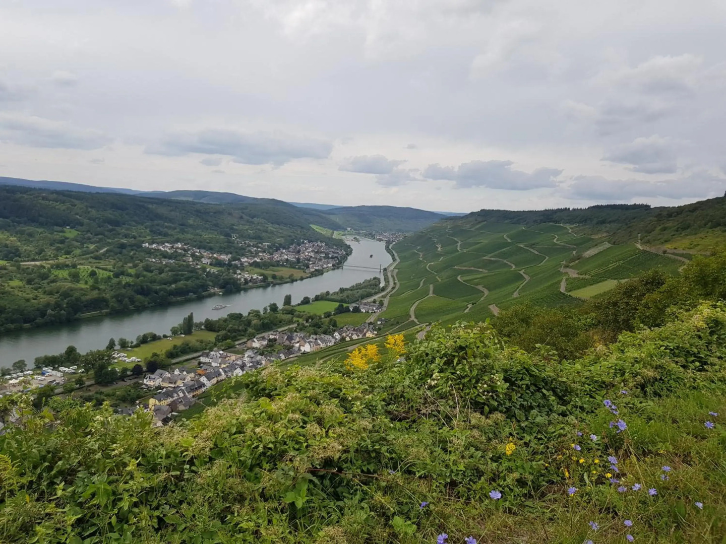 Apartment an der Mosel