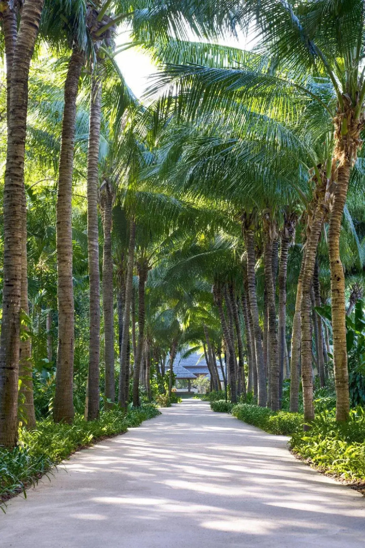 Sheraton Hua Hin Pranburi Villas