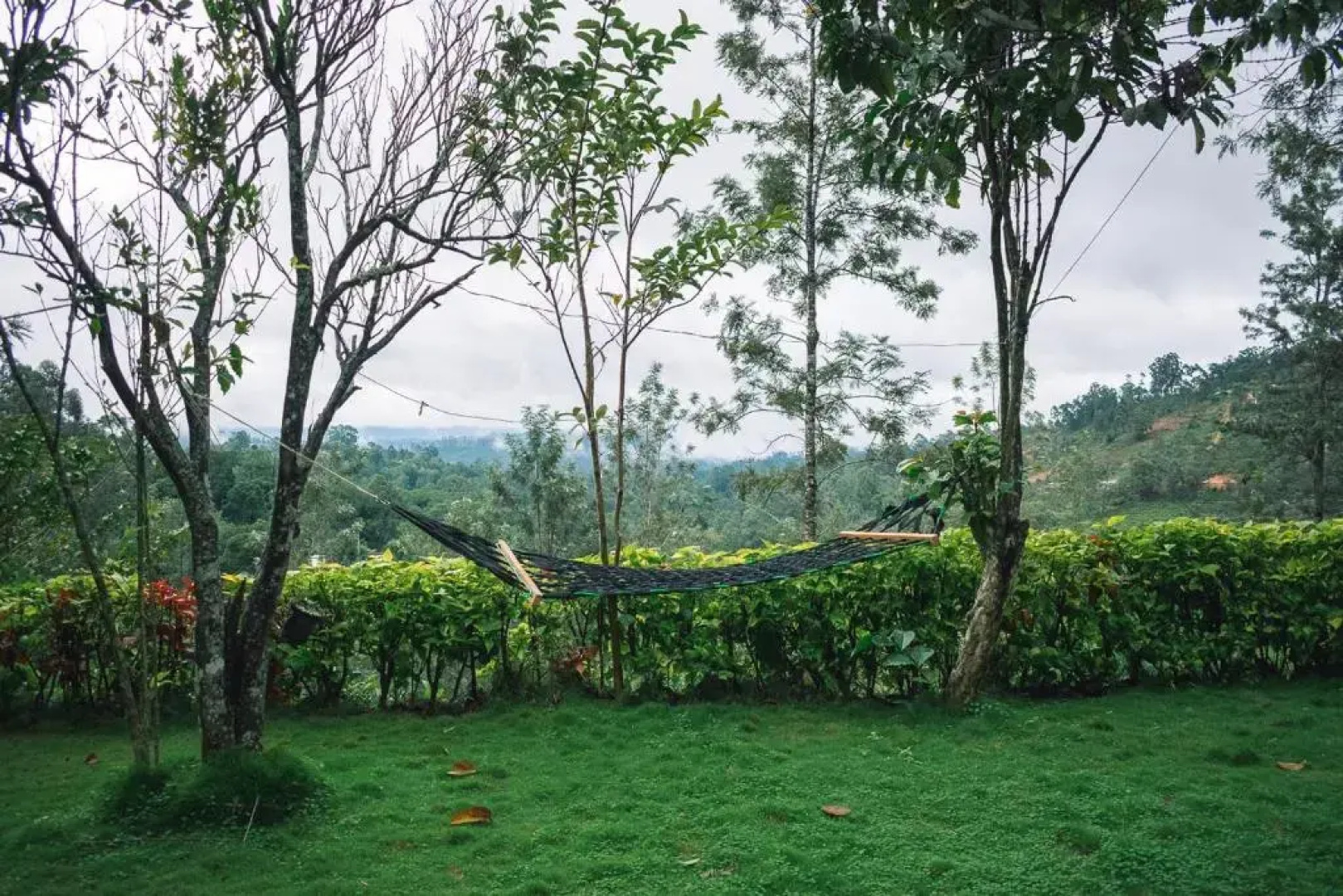 MF Estate Holiday Bungalow